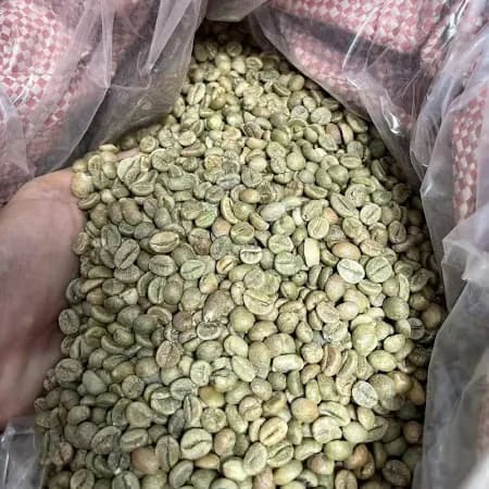 Close-up of premium Ethiopian green coffee beans ready for export