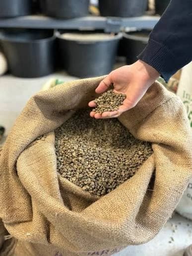 Sourcing team meeting Ethiopian green coffee producers directly