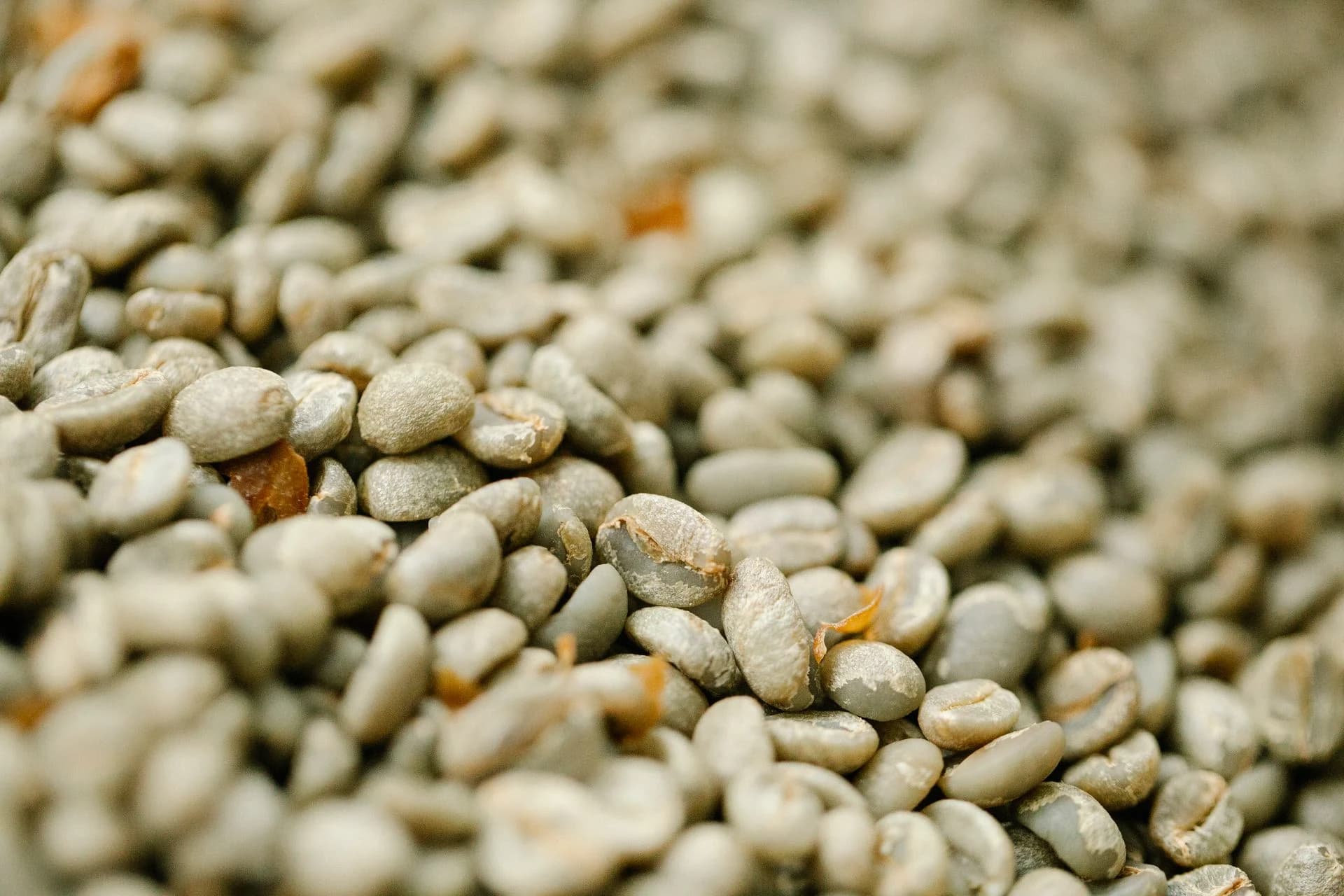Wholesale bags of Ethiopian green coffee prepared for shipment to Canada