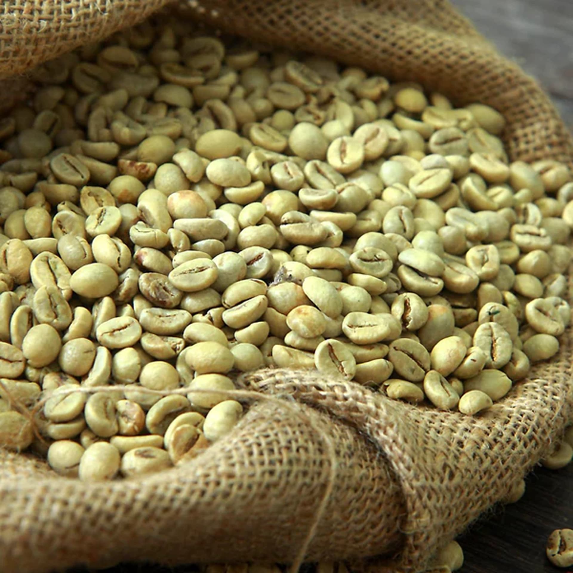 Premium Ethiopian arabica green coffee beans wholesale in Canada and the USA